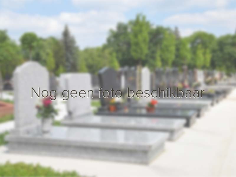 grafsteen Maasbree R.K. Begraafplaats Parochie Aldegundis