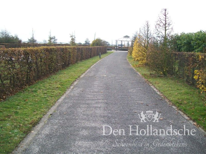 grafstenen 's-Gravenzande Beukenhage
