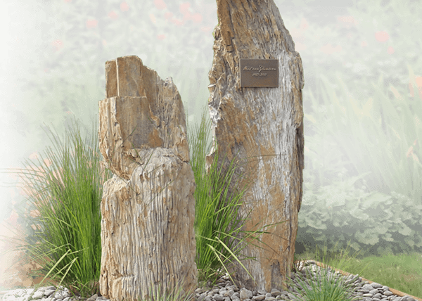 grafsteen materialen - Versteend hout