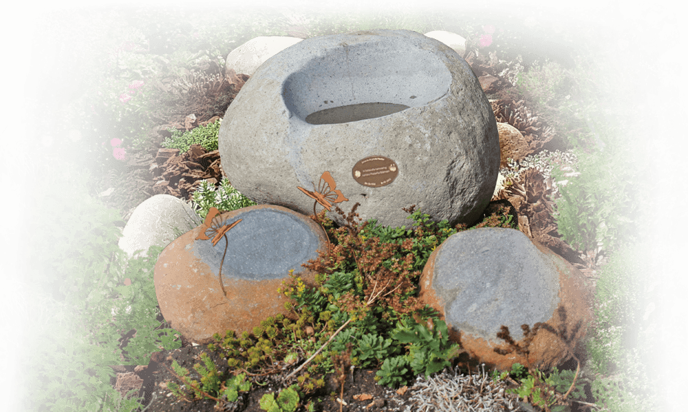 puur natuur collectie waterpoelstenen