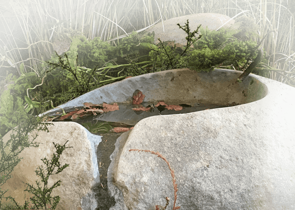 puur natuur collectie grafmonumenten waterpoelstenen