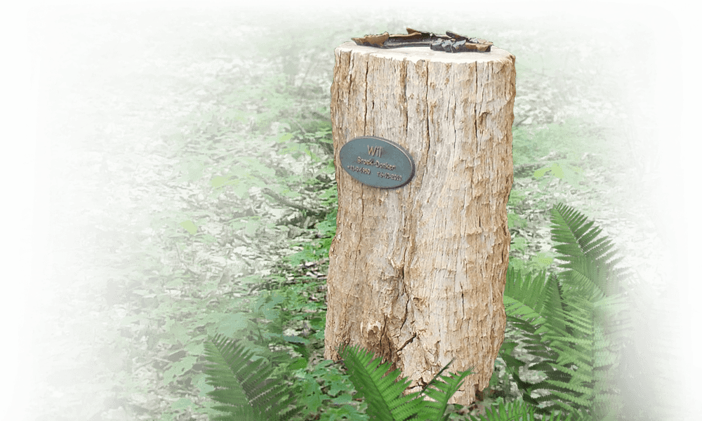 versteend hout boomstam als grafsteen