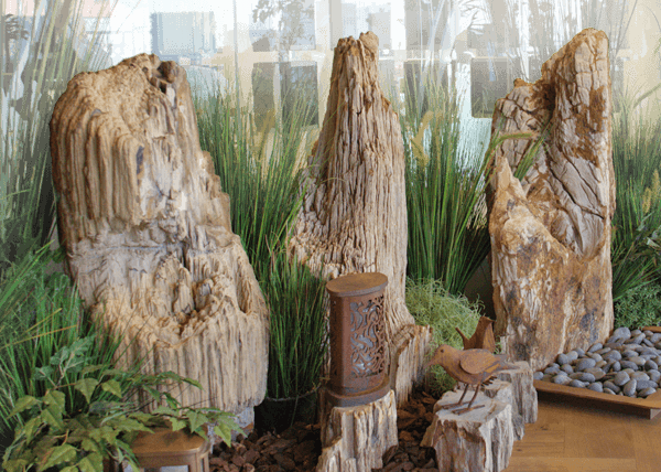 versteend hout grafmonument uitzoeken samenstellen bekijken