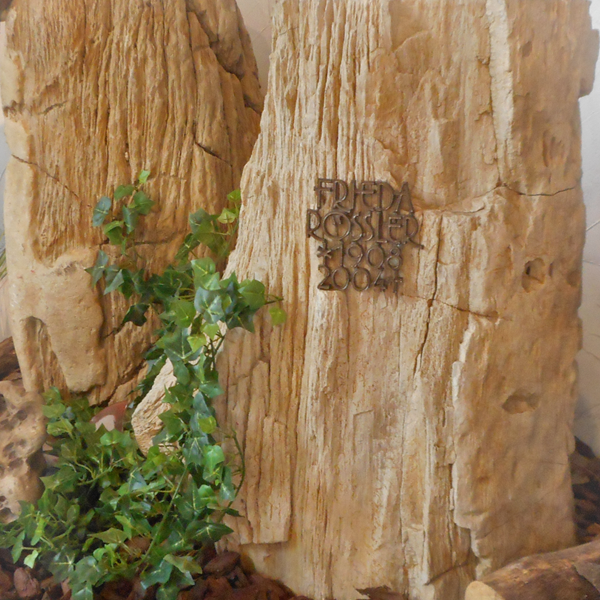 grafsteen versteend hout video over duurzame winning
