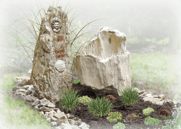 garantie grafsteen versteend hout