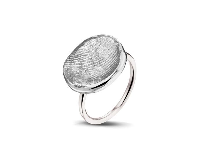 407 SW Zilver/ Goud foto 1