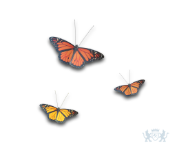 Aluminium vlinders in afwijkende kleur/afmeting