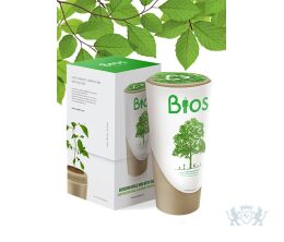 BIOS URN - Beuk - 33cm ø16cm 3L