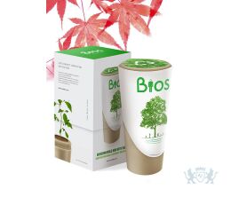 BIOS URN - Esdoorn - 33cm ø16cm 3L