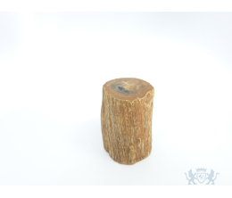 Mini urn van versteend hout - 3842