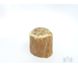Mini urn van versteend hout - 3851