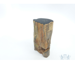 Mini urn van versteend hout - 3853