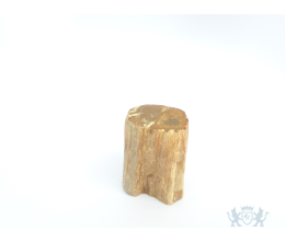 Mini urn van versteend hout - 3867