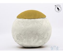 Mycellium Bio urn rond - 3,5L Geel