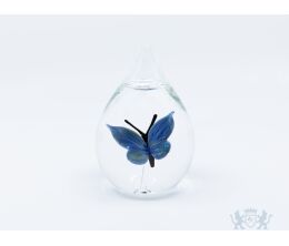 Stillabunt Cavas - Vlinder Blauw