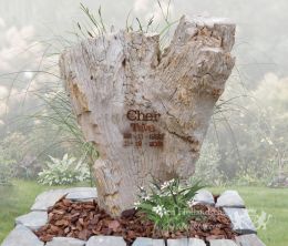 Versteend hout grafmonument