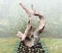 Versteend hout grafmonument