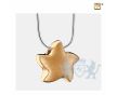 Angelic Star Ashes Pendant Bru Gold Vermeil foto 1