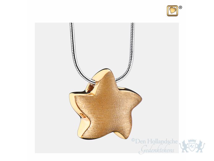 Angelic Star Ashes Pendant Bru Gold Vermeil foto 1