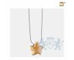 Angelic Star Ashes Pendant Bru Gold Vermeil foto 1