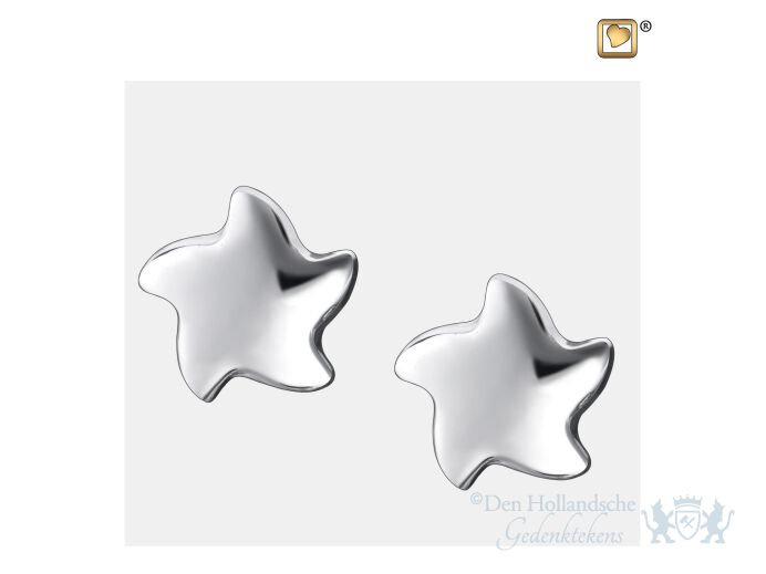 Angelic Star Stud Earrings Pol Silver foto 1