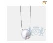 Circle Ashes Pendant Pol Silver w/Zirconia foto 1