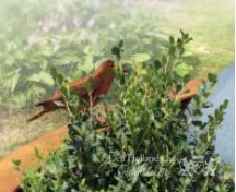 Cortenstaal grafmonument met vogels en bloem  foto 4