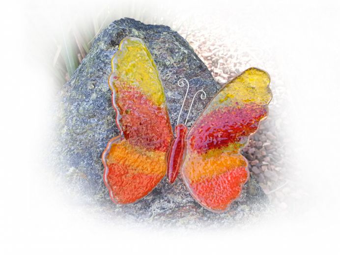 glasfusing-vlinder-op-zwerfkei.jpg foto 1