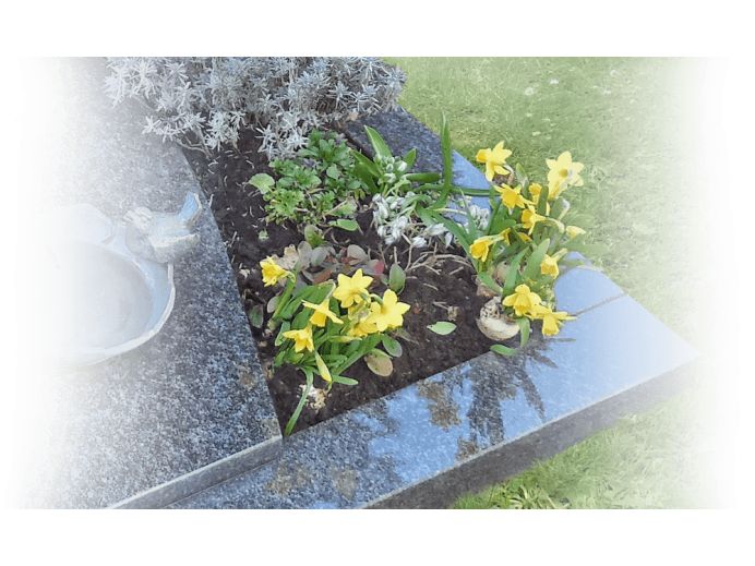 grafbeplanting-urnengraf-uitsparing-in-dekplaat.png foto 1