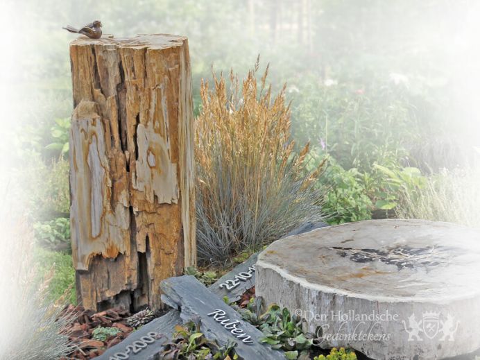 grafsteen-natuurbegraafplaats-versteend-hout-boomstam.jpg foto 1