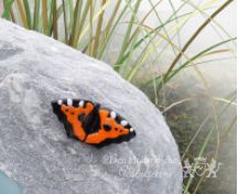 Kindergrafsteen met glasplaat en vlinder foto 2