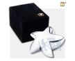 Angelic Star Keepsake Urn Pol Silver foto 1