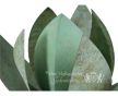 Groen gepatineerde lotus urn van brons foto 1