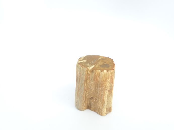 Mini urn van versteend hout - 3867 foto 1