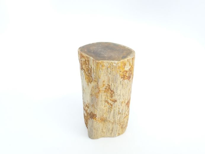 Mini urn van versteend hout - 3868 foto 1