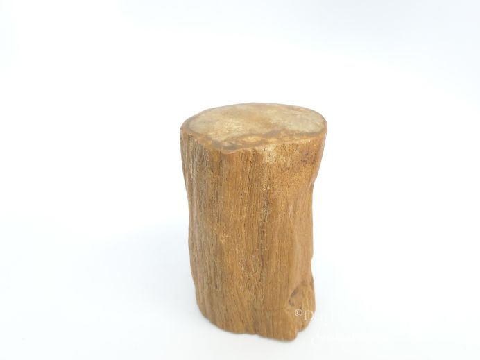 Mini urn van versteend hout - 3869 foto 1