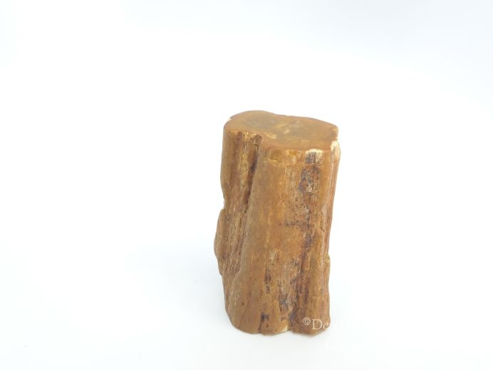 Mini urn van versteend hout - 3873 foto 1