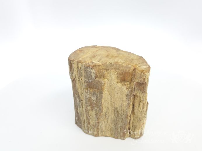 Mini urn van versteend hout - 3878 foto 1