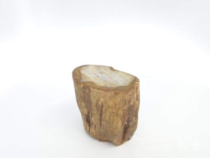 Mini urn van versteend hout - 3879 foto 1