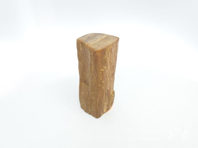 Mini urn van versteend hout - 3883 foto 1
