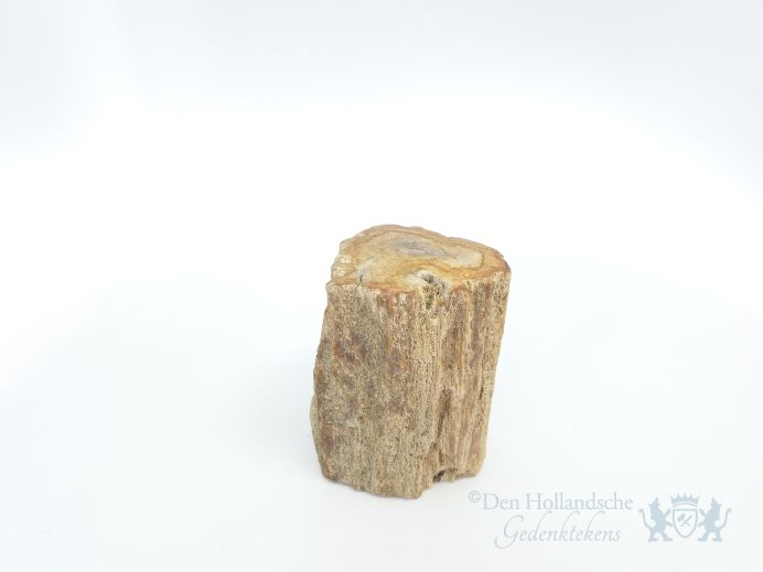 Mini urn van versteend hout - 3886 foto 1