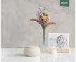 SERES mini – handgemaakte eco urne in zacht beige engobe foto 1
