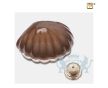 Shell Keepsake Urn Pearl Bronze and Bru Gold foto 1