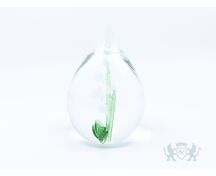 Stillabunt Cavas - Witte orchidee foto 1