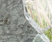 Natuurlijk grafmonument met glas en natuursteen foto 2