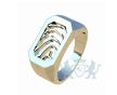 Ringen Zegel foto 1