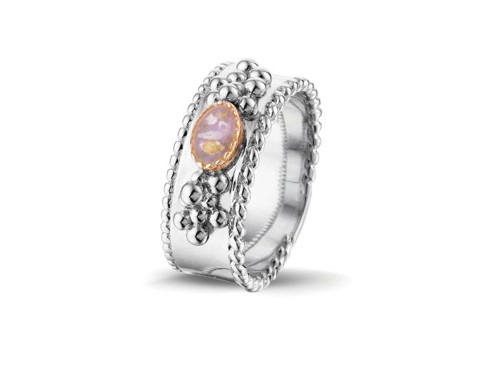 ROR 001 R Zilver/ Goud foto 1
