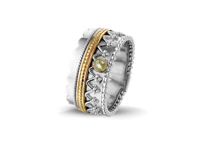 ROR 002 Y Zilver/ Goud foto 1