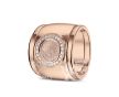 RR 007F + RR 005 Siders Goud foto 1