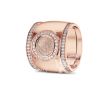 RR 007F + RR 006 Siders Goud foto 1